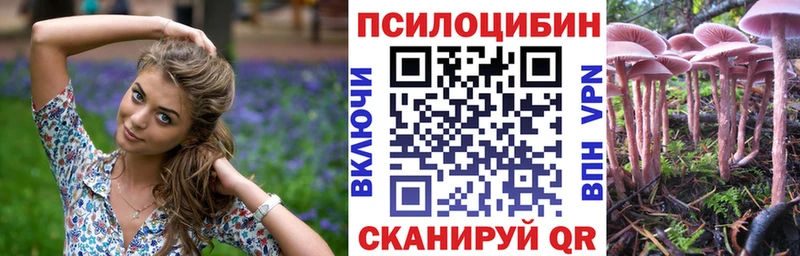 Галлюциногенные грибы Psilocybine cubensis  наркошоп  Собинка 