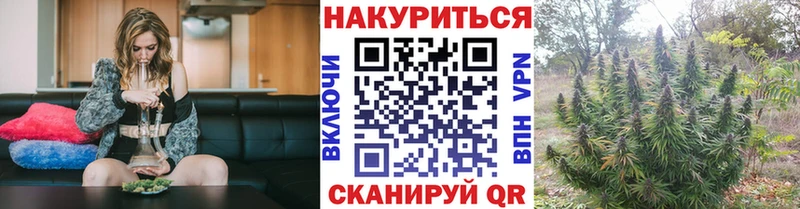 дарнет шоп  Собинка  Каннабис план 